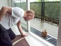 J&ouml;rg von de Fenn schlie&szlig;t Freundschaft mit einem Eichh&ouml;rnchen auf dem Balkon seiner Wohnung am wilden Weissensee. Bild 3