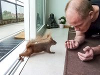 J&ouml;rg von de Fenn schlie&szlig;t Freundschaft mit einem Eichh&ouml;rnchen auf dem Balkon seiner Wohnung am wilden Weissensee. Bild 7