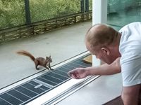 J&ouml;rg von de Fenn schlie&szlig;t Freundschaft mit einem Eichh&ouml;rnchen auf dem Balkon seiner Wohnung am wilden Weissensee. Bild 12