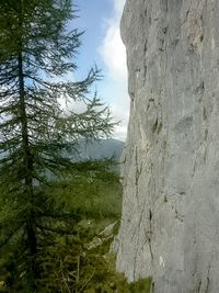 J&ouml;rg von de Fenn. Blinder Bergsteiger erklimmt den Klettersteig Schuastergangl 2010. Bild 9